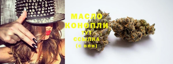 эйфоретик Арсеньев