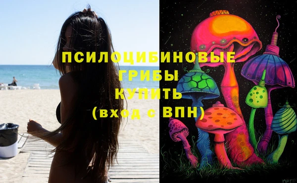 эйфоретик Арсеньев