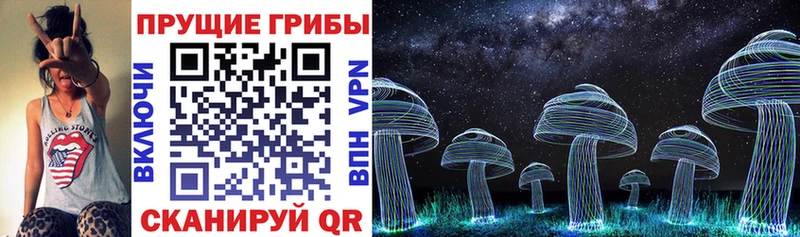 Галлюциногенные грибы Cubensis  Пудож 
