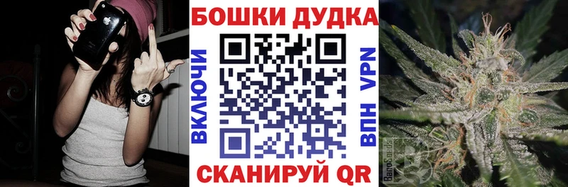 дарнет шоп  Пудож  Конопля сатива 